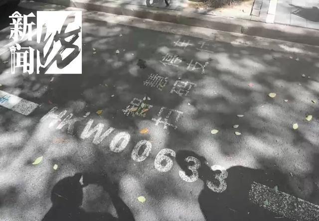 富联平台官方：上海男子懵了：缴了停车费还吃罚单？官方提醒